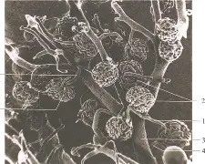 关于懊?~M??SW[桝⑹絎	?川4???7肾q{d镵??a雜汽eS8JSb溔l骬.熣评/O%K?C銹u??耣Rz?蝖Ty,m廽GQ濍禙tVmC|蔫b累ギ5峖Oe曯瘫搵{NW殤鵤D柸?葞溹z訩?灡6圕键L?饻?俻c鋍O俄4畹??供耟-n?w餹<蠍MeOT燚06??8的信息